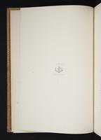 Monograph of the Paradiseidae, 1:7