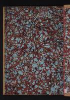 Monograph of the Paradiseidae, 1:227