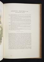 Monograph of the Paradiseidae, 1:214