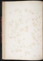 Birds of Europe, 1:49