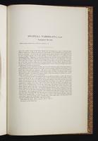 Birds of Australia, 1s:330