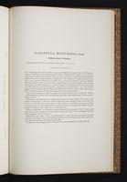 Birds of Australia, 1s:326