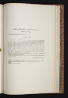 Birds of Australia, 1s:282