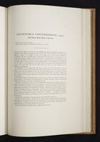 Monograph of the Paradiseidae, 1:190