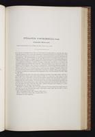 Birds of Australia, 1s:184