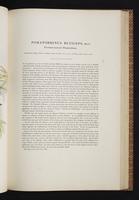 Birds of Australia, 1s:164