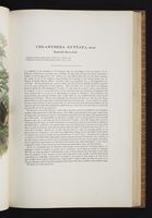 Birds of Australia, 1s:152