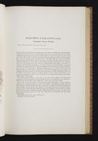 Birds of Australia, 1s:104