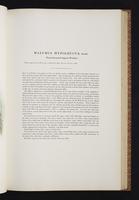 Birds of Australia, 1s:100