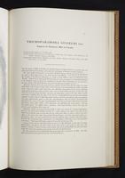 Monograph of the Paradiseidae, 1:172