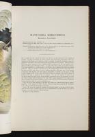 Birds of Australia, 1s:48