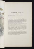 Birds of Australia, 1s:36