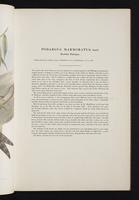 Birds of Australia, 1s:28