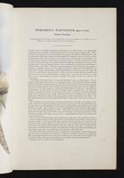 Birds of Australia, 1s:24