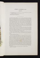 Birds of Australia, 1s:16