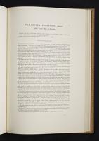 Monograph of the Paradiseidae, 1:166