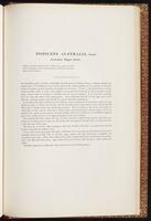 Birds of Australia, 1:326