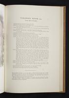 Monograph of the Paradiseidae, 1:160