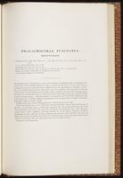 Birds of Australia, 1:290