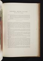 Monograph of the Paradiseidae, 1:156