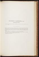 Birds of Australia, 1:234