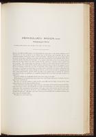 Birds of Australia, 1:206