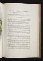 Monograph of the Paradiseidae, 1:148