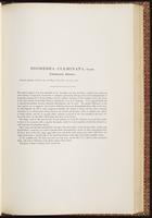 Birds of Australia, 1:170