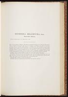 Birds of Australia, 1:162