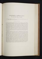 Monograph of the Paradiseidae, 1:144