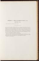 Birds of Australia, 1:110