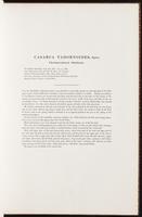 Birds of Australia, 1:34