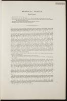 Birds of Australia, 1:26