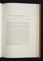 Monograph of the Paradiseidae, 1:126