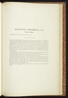 Birds of Australia, 1:298