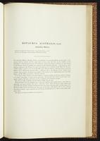 Birds of Australia, 1:262