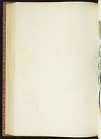 Birds of Australia, 1:255