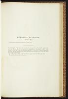 Birds of Australia, 1:242