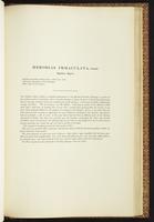 Birds of Australia, 1:238