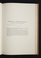 Monograph of the Paradiseidae, 1:114