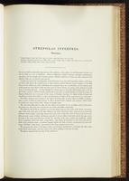 Birds of Australia, 1:162