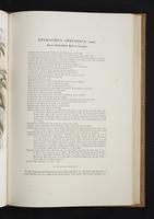 Monograph of the Paradiseidae, 1:108