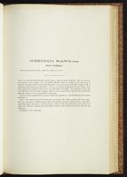 Birds of Australia, 1:138