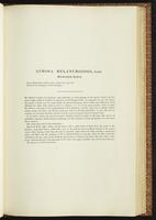 Birds of Australia, 1:118