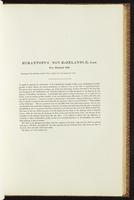 Birds of Australia, 1:106