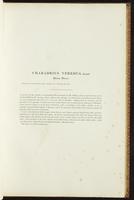 Birds of Australia, 1:62