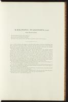 Birds of Australia, 1:38