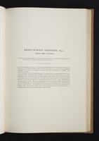 Monograph of the Paradiseidae, 1:96