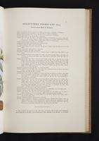 Monograph of the Paradiseidae, 1:88