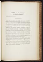 Birds of Australia, 1:294